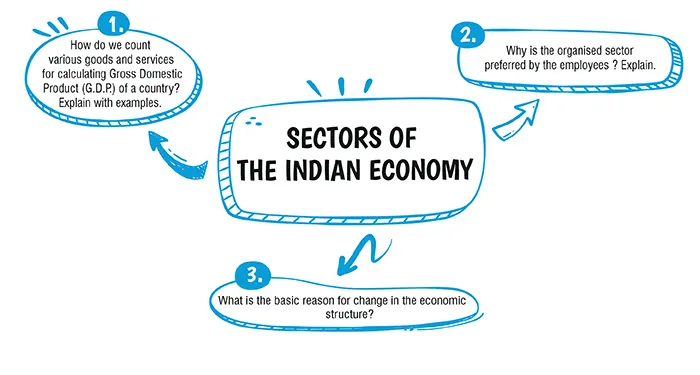 sector of indian economy class 10 important questions