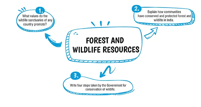 forest and wildlife resources class 10 important questions