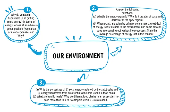 cbse class 10 Science Our Environment important questions and answers