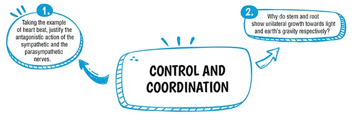 cbse class 10 Science Control and Coordination important questions and answers