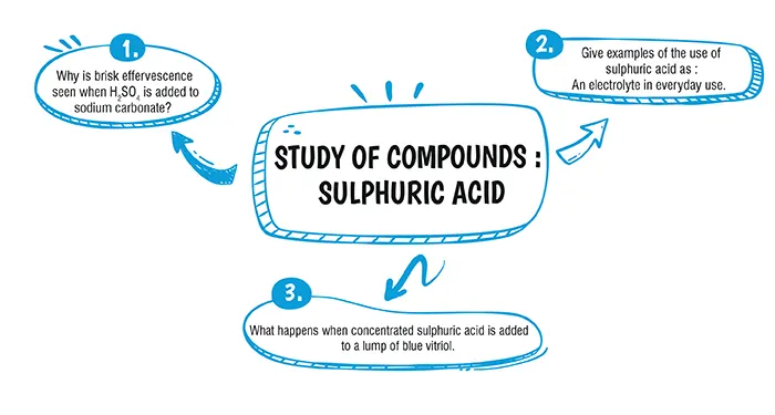 study of compounds class 10 icse questions and answers