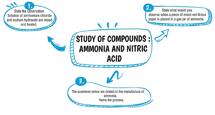 Study of Compounds : Ammonia and Nitric Acid class 10 icse questions and answers