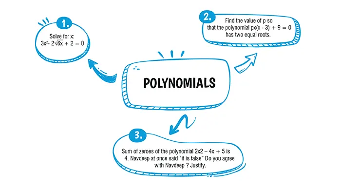 polynomial question and answer