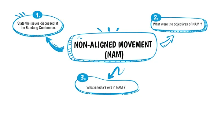 Class 10 History Chapter 15 Non-Aligned Movement (NAM)