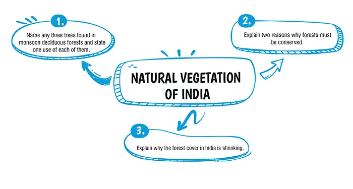 geography class 10 icse syllabus 2023